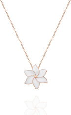 925 Ayar Beyaz Mineli Yonca Kolye Kadın Gümüş Kolye